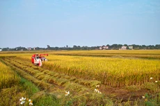 Vấn đề đầu tiên cần giải quyết để thu hút đầu tư vào nông nghiệp là đất đai. Ảnh: LTT