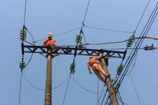 Sau hơn 3 năm, Gói thầu đường dây trung hạ áp 38 tỷ tại Quảng Trị mới đạt khoảng 36% giá trị hợp đồng. Ảnh chỉ mang tính minh họa. Nguồn Internet