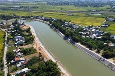 Ảnh chỉ mang tính minh họa. Nguồn Internet