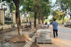 Ảnh chỉ mang tính minh họa. Nguồn Internet