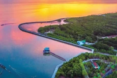 Ảnh chỉ mang tính minh họa. Nguồn Internet