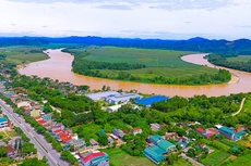 Ảnh chỉ mang tính minh họa. Nguồn Internet