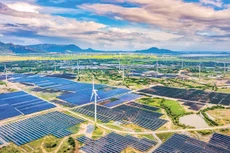 Dự án năng lượng tái tạo - nguồn việc làm mới cho các đơn vị tư vấn ngành điện