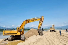 Ảnh chỉ mang tính minh họa. Nguồn Internet