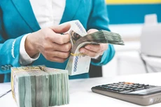 Thủ tướng chỉ đạo tăng cường hiệu quả điều hành chính sách tiền tệ, chính sách tài khóa.Ảnh minh họa