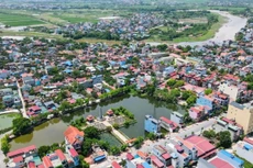 Ảnh chỉ mang tính minh họa. Nguồn Internet