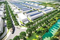 Quy mô diện tích của dự án 400,02 ha - Ảnh minh họa