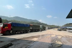 Ảnh chỉ mang tính minh họa. Nguồn Internet