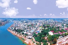  Lạm phát yêu cầu về năng lực nhân sự chủ chốt tại Gói thầu cây xanh tại Hồng Ngự (Đồng Tháp). Ảnh chỉ mang tính minh họa. Nguồn Internet