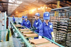 Ảnh chỉ mang tính minh họa. Nguồn Internet