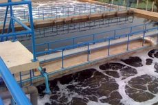 Ảnh chỉ mang tính minh họa. Nguồn Internet