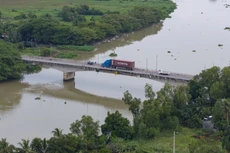 Ảnh chỉ mang tính minh họa. Nguồn Internet