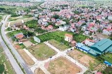 Ảnh chỉ mang tính minh họa. Nguồn Internet