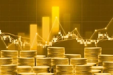 Cần theo dõi sát diễn biến thị trường tài chính, tiền tệ, ngoại hối, thị trường vàng trong nước và quốc tế