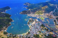 Bộ Chính trị yêu cầu tạm dừng tuyển dụng, bổ nhiệm các chức danh lãnh đạo trong cả hệ thống cho tới khi hoàn thành sáp nhập tỉnh, bỏ cấp huyện 