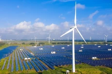 Ảnh chỉ mang tính minh họa. Nguồn Internet