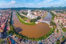 Ảnh chỉ mang tính minh họa. Nguồn Internet