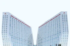 Ảnh chỉ mang tính minh họa. Nguồn Internet