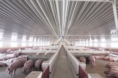 Ảnh chỉ mang tính minh họa. Nguồn Internet