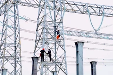 Ảnh chỉ mang tính minh họa. Nguồn Internet