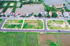 Ảnh chỉ mang tính minh họa. Nguồn Internet