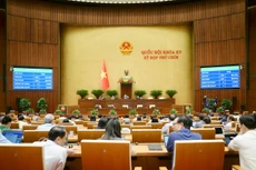 Quốc hội biểu quyết Nghị quyết của Quốc hội về việc thành lập Hội đồng bầu cử Quốc gia.