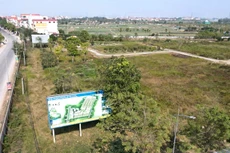 Ảnh chỉ mang tính minh họa. Nguồn Internet