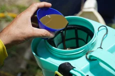 Ảnh chỉ mang tính minh họa. Nguồn Internet