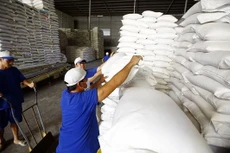 Xuất cấp 218,025 tấn gạo từ nguồn dự trữ quốc gia cho tỉnh Tuyên Quang. Ảnh minh họa