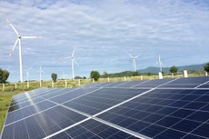 Phát triển năng lượng tái tạo tại Việt Nam còn gặp nhiều thách thức