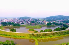 Ảnh chỉ mang tính minh họa. Nguồn Internet