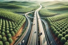 Triển khai Dự án đầu tư xây dựng đường cao tốc Bắc - Nam phía Tây đoạn Gia Nghĩa - Chơn Thành bảo đảm chất lượng, tiến độ, không để đội giá