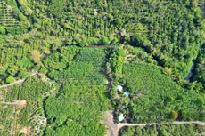 Đồng Nai đề xuất làm đường chạy xuyên rừng nối Bình Phước rộng 4 làn xe. Ảnh minh họa