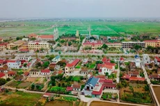 Ảnh chỉ mang tính minh họa. Nguồn Internet