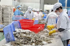 6 tháng đầu năm 2025, xuất khẩu nông lâm thủy sản ước tăng trên 14%. Ảnh minh họa