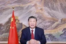 Tổng Bí thư, Chủ tịch nước Trung Quốc Tập Cận Bình . Ảnh: THX/TTXVN