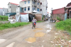 Ảnh chỉ mang tính minh họa. Nguồn Internet