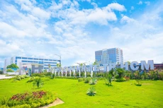 Ảnh chỉ mang tính minh họa. Nguồn Internet