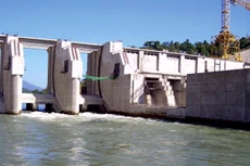 Ảnh chỉ mang tính minh họa. Nguồn Internet