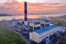 Ảnh chỉ mang tính minh họa. Nguồn Internet