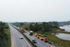 Ảnh chỉ mang tính minh họa. Nguồn Internet