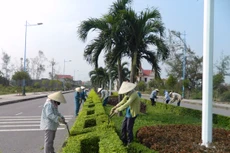 Ảnh chỉ mang tính minh họa. Nguồn Internet