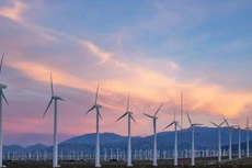 Ảnh chỉ mang tính minh họa. Nguồn Internet