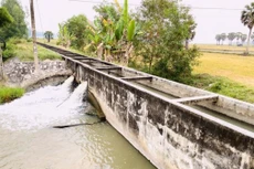 Ảnh chỉ mang tính minh họa. Nguồn Internet