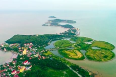 Một góc quận Đồ Sơn nhìn từ trên cao xuống