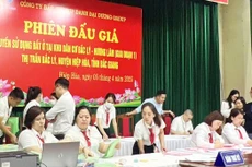 Phiên đấu giá quyền sử dụng đất tại thị trấn Bắc Lý, huyện Hiệp Hòa (tỉnh Bắc Giang)