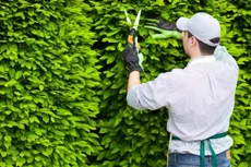 Khi hạn mức chỉ định thầu được nâng lên 300 triệu đồng, nhà trường có thể chủ động lựa chọn nhà thầu thực hiện các phần công việc dịch vụ vệ sinh, chăm sóc cây xanh. Ảnh chỉ mang tính minh họa. Nguồn Internet