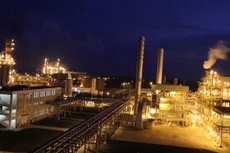 Ảnh chỉ mang tính minh họa. Nguồn Internet