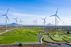 Ảnh chỉ mang tính minh họa. Nguồn Internet