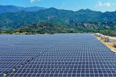 Ảnh chỉ mang tính minh họa: Internet